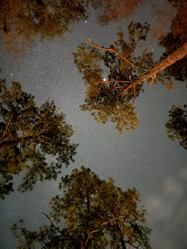 Photography by Saleh Faghfoorian